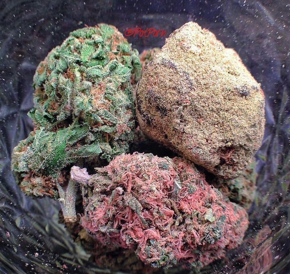 Assorted Cannabis Strains in Vibrant Colors