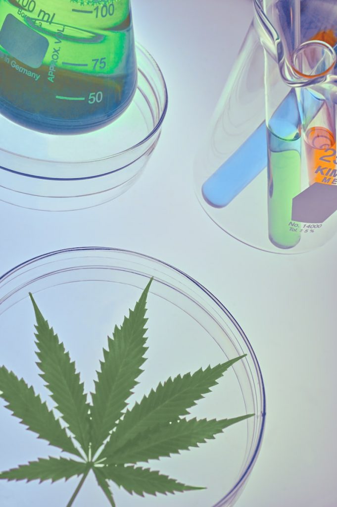 Cannabis Science - Leaf in Petri Dish with Lab Equipment